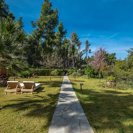 וילה Pine - Ng Sani