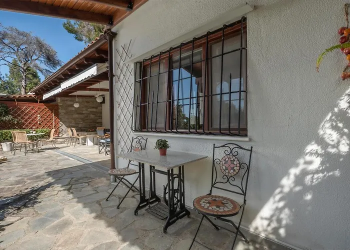 Pine - Ng Sani Sani (Chalkidiki)