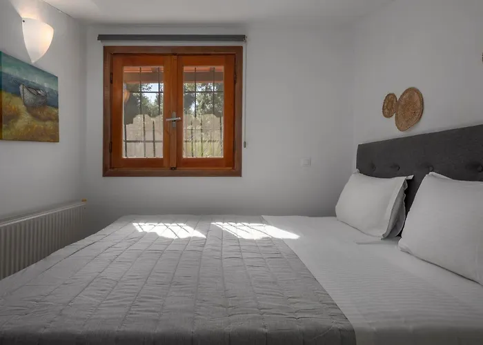 Pine - Ng Sani Sani (Chalkidiki)