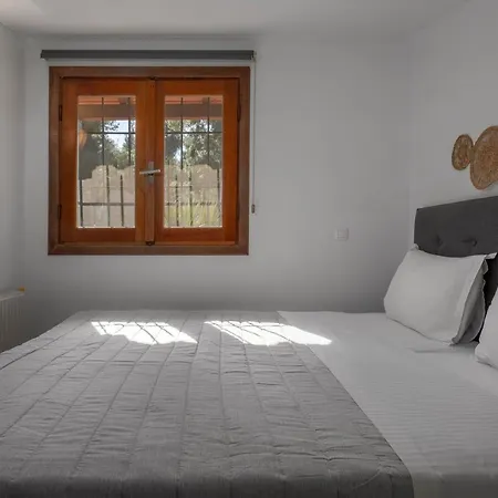 Pine - Ng Sani Sani (Chalkidiki)