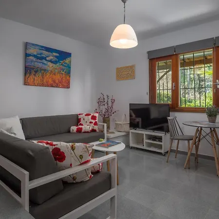 Pine - Ng Sani * Sani (Chalkidiki)